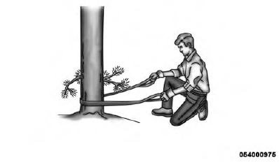 Operating Your Winch